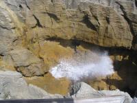 Albums/20060200-New Zealand 2006/20060205-Greymouth_Punakaiki/24